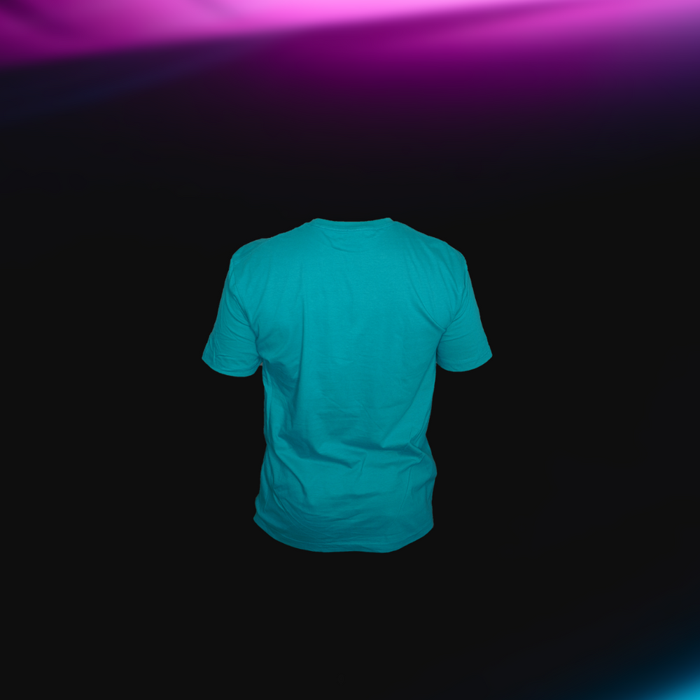 PW T- SHIRT (JADE)